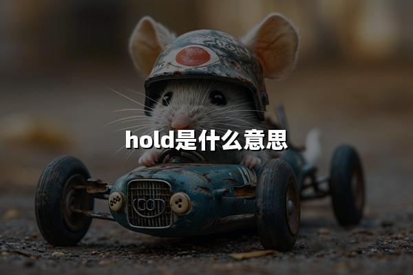 hold是什么意思