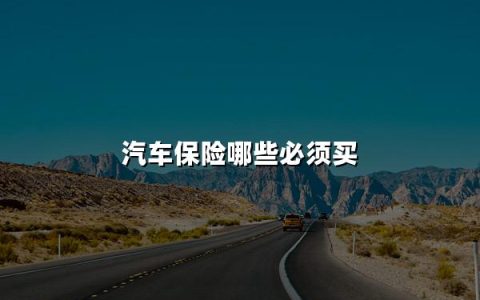 汽车保险哪些是你的安全守护神？