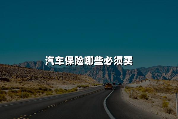 汽车保险哪些必须买